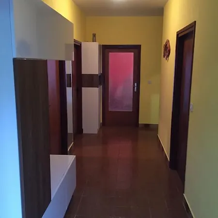 House Zoran *